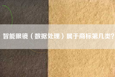 智能眼镜(数据处理)属于商标第几类? 智能眼镜(数据处理)属于商标第几类?