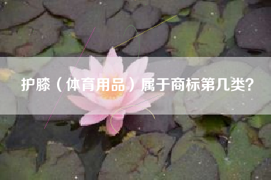 护膝(体育用品)属于商标第几类? 护膝(体育用品)属于商标第几类?