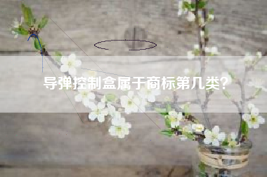 导弹控制盒属于商标第几类? 导弹控制盒属于商标第几类?