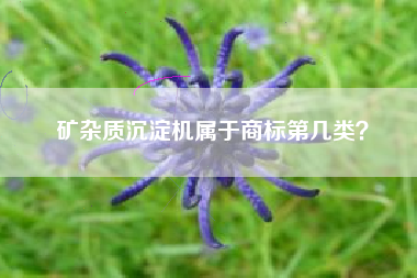 矿杂质沉淀机属于商标第几类? 矿杂质沉淀机属于商标第几类?