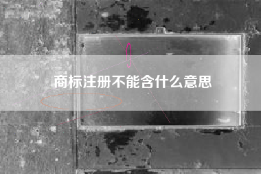 商标注册不能含什么意思
