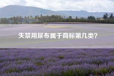 失禁用尿布属于商标第几类? 失禁用尿布属于商标第几类?