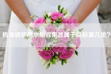 机器锅炉用水垢收集器属于商标第几类? 机器锅炉用水垢收集器属于商标第几类?