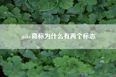 nike商标为什么有两个标志 nike商标为什么有两个标志