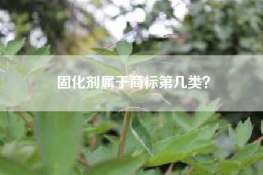 固化剂属于商标第几类? 固化剂属于商标第几类?