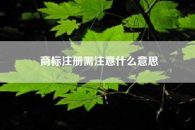 商标注册需注意什么意思 商标注册需注意什么意思