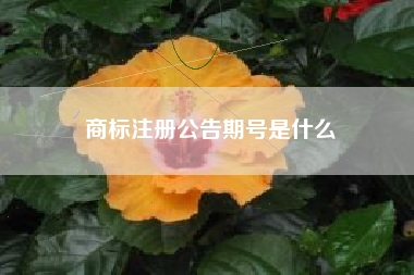商标注册公告期号是什么 商标注册公告期号是什么