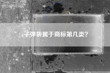 子弹袋属于商标第几类? 子弹袋属于商标第几类?