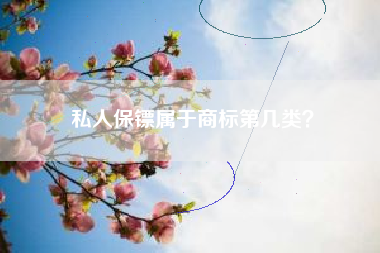 私人保镖属于商标第几类? 私人保镖属于商标第几类?