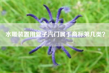 水暖装置用管子汽门属于商标第几类? 水暖装置用管子汽门属于商标第几类?