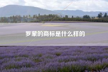 罗蒙的商标是什么样的 罗蒙的商标是什么样的