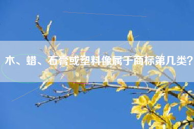 木、蜡、石膏或塑料像属于商标第几类? 木、蜡、石膏或塑料像属于商标第几类?