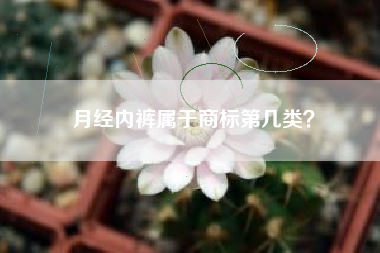 月经内裤属于商标第几类? 月经内裤属于商标第几类?