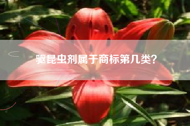 驱昆虫剂属于商标第几类? 驱昆虫剂属于商标第几类?