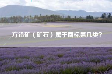 方铅矿(矿石)属于商标第几类? 方铅矿(矿石)属于商标第几类?