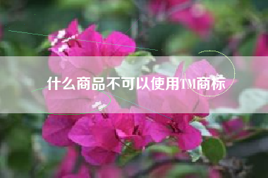 什么商品不可以使用TM商标 什么商品不可以使用TM商标