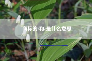 商标的r和c是什么意思 商标的r和c是什么意思