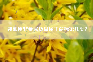 装卸用非金属货盘属于商标第几类? 装卸用非金属货盘属于商标第几类?