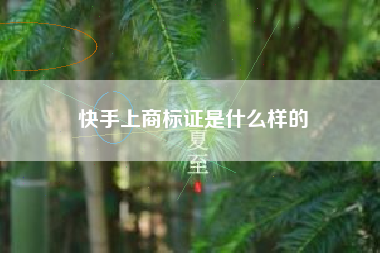 快手上商标证是什么样的 快手上商标证是什么样的