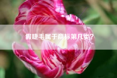 假睫毛属于商标第几类? 假睫毛属于商标第几类?