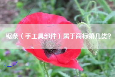 锯条(手工具部件)属于商标第几类? 锯条(手工具部件)属于商标第几类?