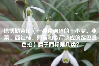 塔博勒色拉(一种由碾碎的干小麦、韭菜、西红柿、薄荷和欧芹制成的黎巴嫩色拉)属于商标第几类? 塔博勒色拉(一种由碾碎的干小麦、韭菜、西红柿、薄荷和欧芹制成的黎巴嫩色拉)属于商标第几类?