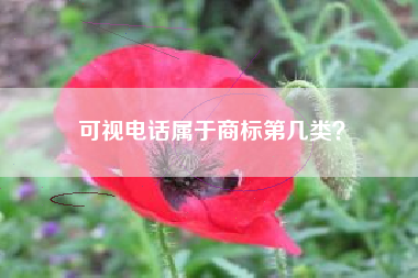 可视电话属于商标第几类? 可视电话属于商标第几类?