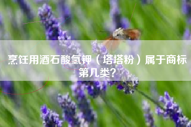 烹饪用酒石酸氢钾（塔塔粉）属于商标第几类？