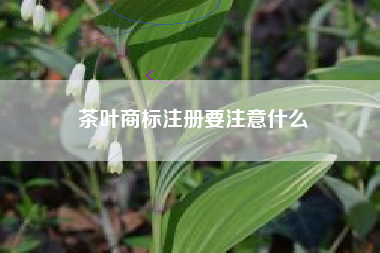 茶叶商标注册要注意什么 茶叶商标注册要注意什么