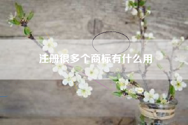 注册很多个商标有什么用 注册很多个商标有什么用
