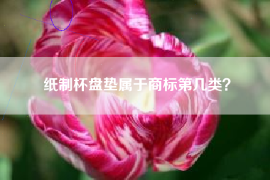 纸制杯盘垫属于商标第几类? 纸制杯盘垫属于商标第几类?