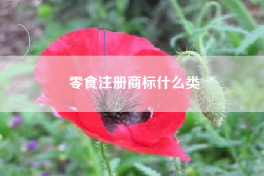 零食注册商标什么类 零食注册商标什么类