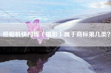 照相机快门线(摄影)属于商标第几类? 照相机快门线(摄影)属于商标第几类?