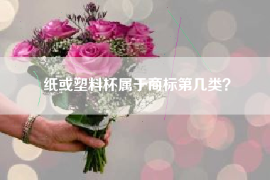 纸或塑料杯属于商标第几类? 纸或塑料杯属于商标第几类?