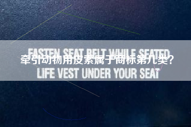 牵引动物用皮索属于商标第几类? 牵引动物用皮索属于商标第几类?