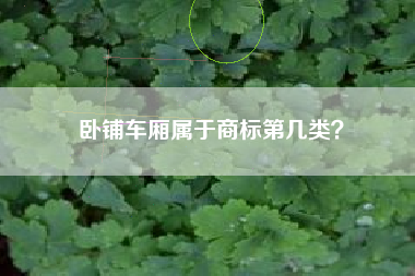 卧铺车厢属于商标第几类? 卧铺车厢属于商标第几类?