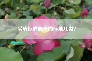 裘皮披肩属于商标第几类? 裘皮披肩属于商标第几类?