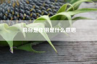 商标是作用是什么意思 商标是作用是什么意思