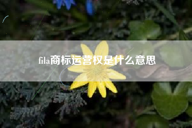 fila商标运营权是什么意思 fila商标运营权是什么意思