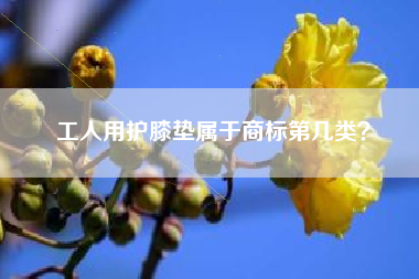 工人用护膝垫属于商标第几类? 工人用护膝垫属于商标第几类?