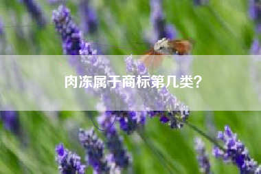 肉冻属于商标第几类? 肉冻属于商标第几类?