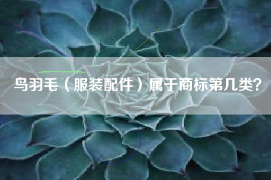 鸟羽毛(服装配件)属于商标第几类? 鸟羽毛(服装配件)属于商标第几类?