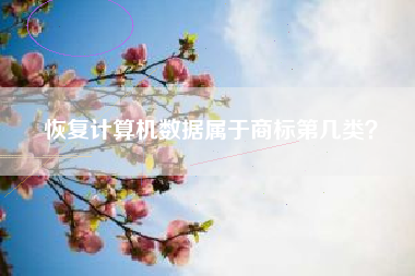 恢复计算机数据属于商标第几类? 恢复计算机数据属于商标第几类?