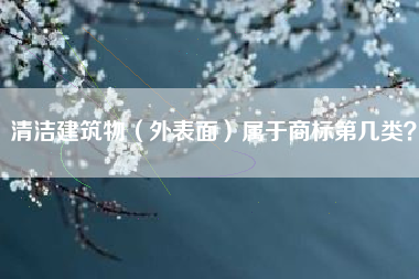 清洁建筑物(外表面)属于商标第几类? 清洁建筑物(外表面)属于商标第几类?