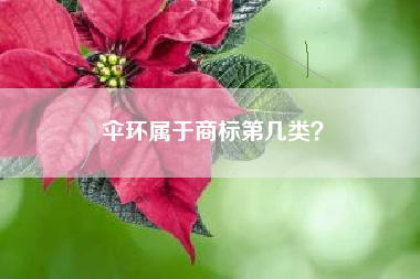 伞环属于商标第几类? 伞环属于商标第几类?