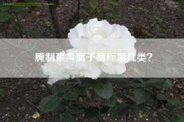 腌制浆果属于商标第几类? 腌制浆果属于商标第几类?