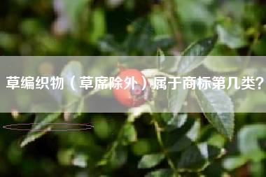 草编织物(草席除外)属于商标第几类? 草编织物(草席除外)属于商标第几类?