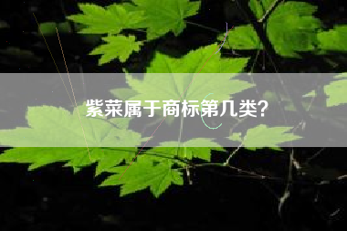 紫菜属于商标第几类? 紫菜属于商标第几类?