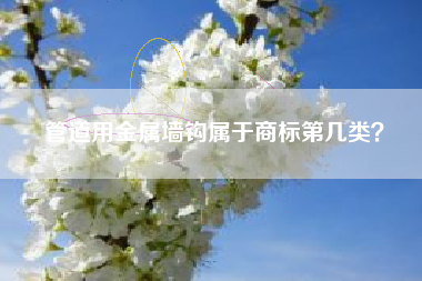 管道用金属墙钩属于商标第几类? 管道用金属墙钩属于商标第几类?