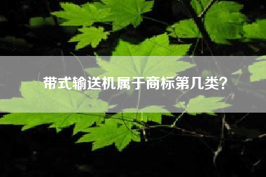 带式输送机属于商标第几类? 带式输送机属于商标第几类?